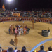 foto de los novillos